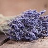 ALL ABOUT LAVENDER OIL