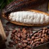 BEAUTIFYING BENEFITS OF NATURAL COCOA BUTTER