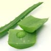 HYDRATE & BEAUTIFY WITH ALOE VERA JUICE