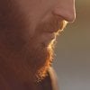 BEARD CARE: BEST ESSENTIAL OILS FOR BEARD HEALTH