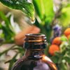 ORGANIC VS. NON-ORGANIC ESSENTIAL OILS: A DETAILED BREAKDOWN