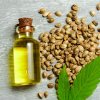 HOW TO USE HEMP OIL FOR SKIN & HAIR