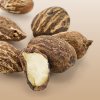 ALL ABOUT SHEA NUT OIL: A FORMULATOR’S FAVORITE