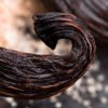 WHAT IS VANILLA: THE SWEET ESSENCE OF COMFORT