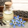 BORAGE CARRIER OIL – BENEFITS AND USES