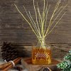 BEST ESSENTIAL OIL DIFFUSER BLENDS FOR THE HOLIDAYS