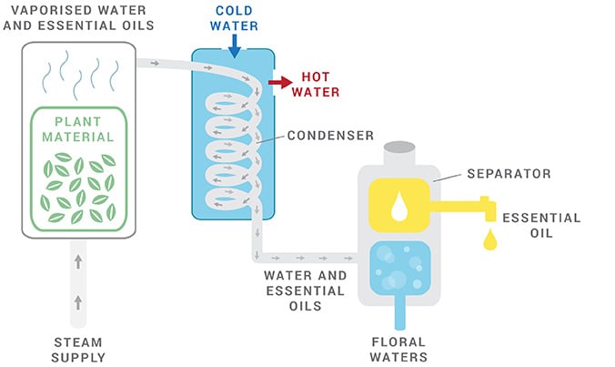 steam-distillation